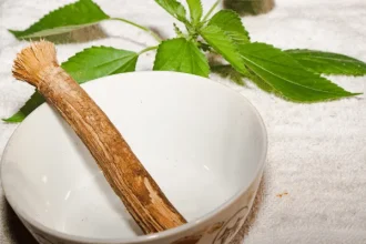 Cara Menggunakan Siwak Sesuai Sunnah Rasulullah SAW