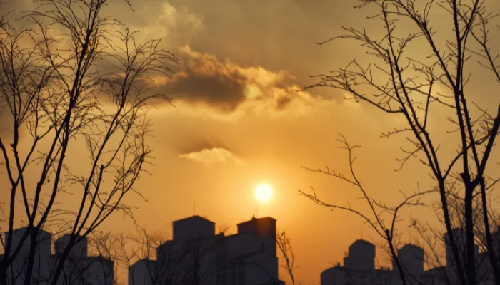 9 Hikmah Hidup dalam Kesederhanaan: Temukan Makna Dunia yang Sebenarnya!