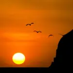 Mengenal Muflis: Orang yang Bangkrut dan Rugi di Akhirat, Apakah Kamu Termasuk di Dalamnya?