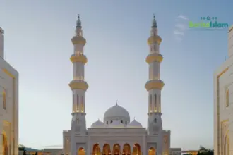 Tenang, Semua Sudah Allah Atur: Memaknai Surat At-Taghabun Ayat 11