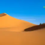 Padang Mahsyar: Ruang Tunggu Umat Islam Sesungguhnya, Apa yang Sudah Dipersiapkan?