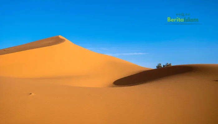 Padang Mahsyar: Ruang Tunggu Umat Islam Sesungguhnya, Apa yang Sudah Dipersiapkan?