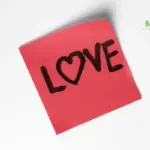 Sering Bodoh Saat Jatuh Cinta? Mengapa Kita Melakukannya? Inilah Penjelasan Al-Qur’an dan Psikologi!